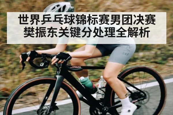 世界乒乓球锦标赛男团决赛樊振东关键分处理全解析